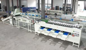 images/1711093100306onion sorting line.jpg